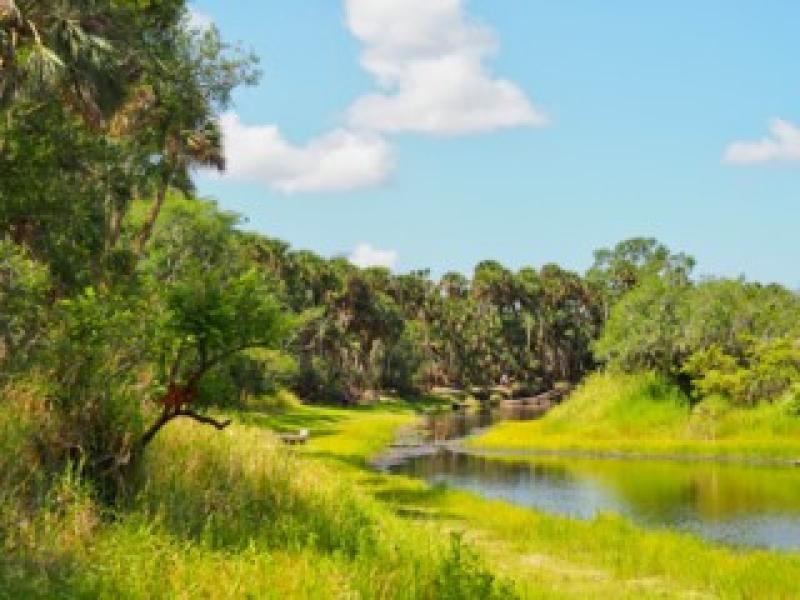 Gr&uuml;ne Flusslandschaft mit B&auml;umen und klarem Himmel, ideal f&uuml;r Natururlaub und Erholung.