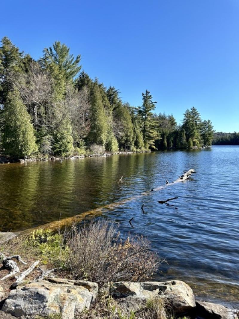 Klarer See mit ruhigem Wasser, umgeben von gr&uuml;nen Nadelb&auml;umen und felsigem Ufer unter blauem Himmel.