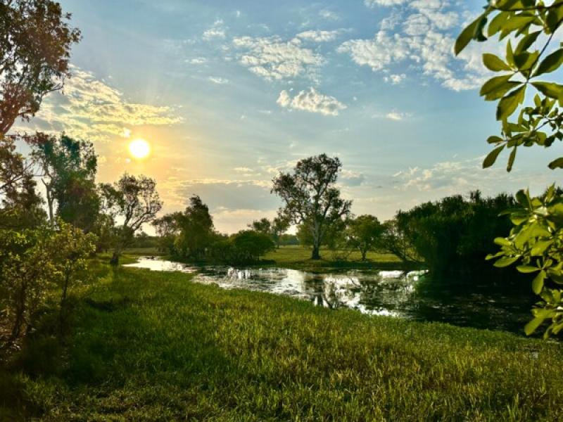 Landschaft mit gr&uuml;nem Gras, B&auml;umen und einem ruhigen Wasserlauf bei Sonnenuntergang, ideal f&uuml;r Natururlaub.