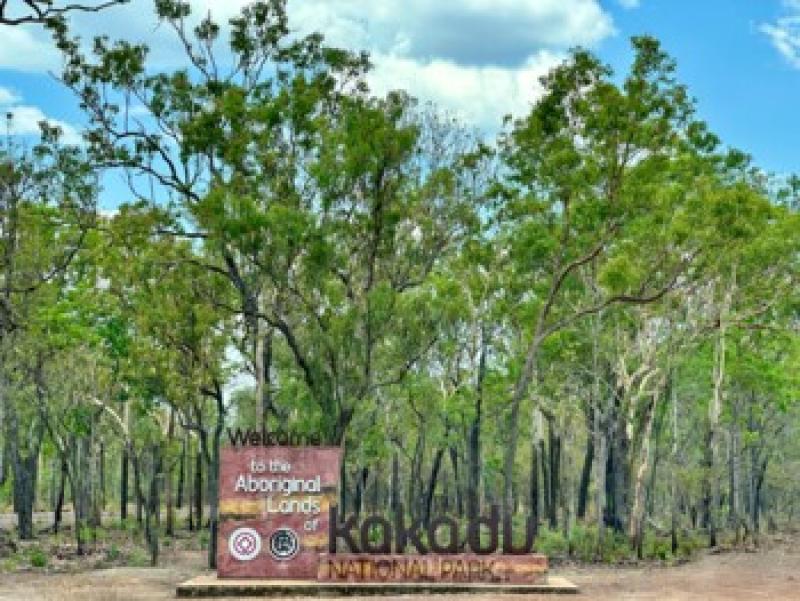 Gr&uuml;ner Wald am Eingang des Kakadu Nationalparks, ideal f&uuml;r Natur- und Abenteuerreisen.