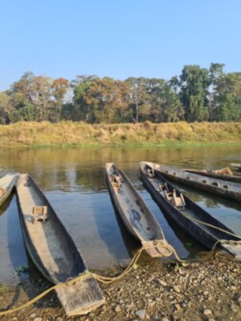 Mehrere traditionelle Holzboote liegen an einem ruhigen Flussufer mit gr&uuml;nem Wald im Hintergrund.